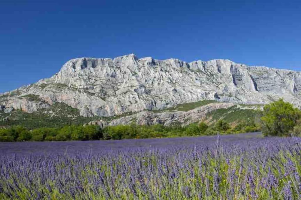 Le Cardinale - Un Voyage En Provence - 2 Avec Parking